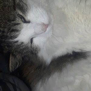 Meet your Posher, Macey